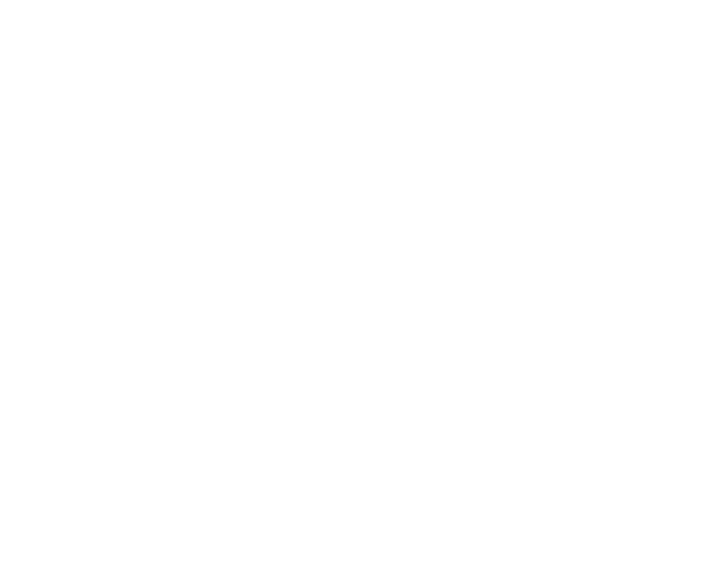TLW Professional Services Inc.